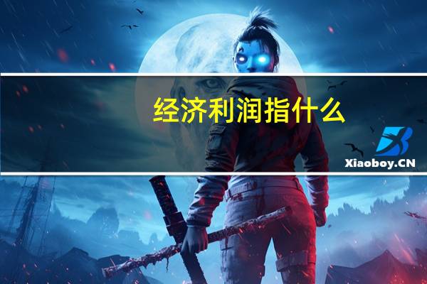 经济利润指什么
