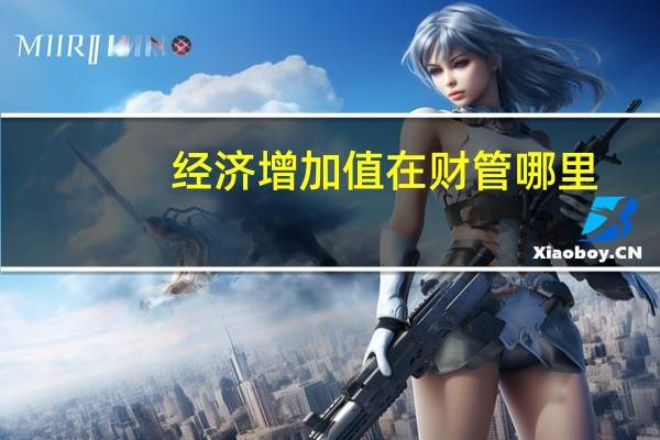 经济增加值在财管哪里