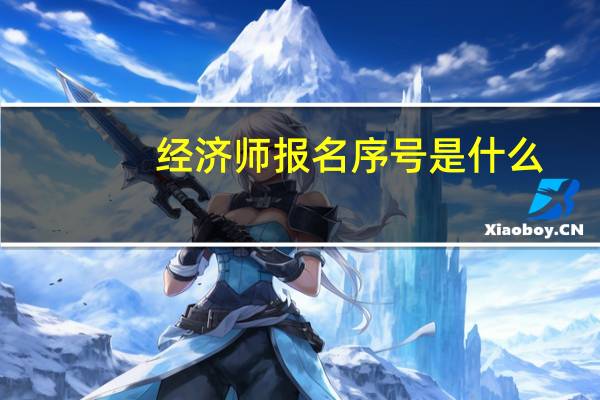 经济师报名序号是什么