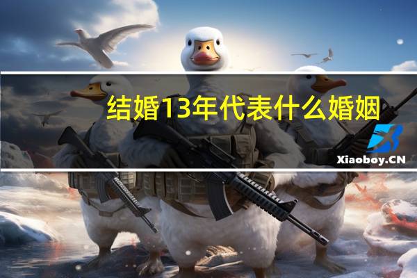 结婚13年代表什么婚姻