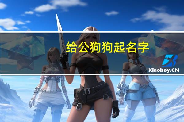 给公狗狗起名字
