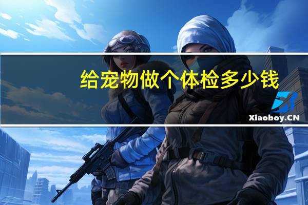 给宠物做个体检多少钱