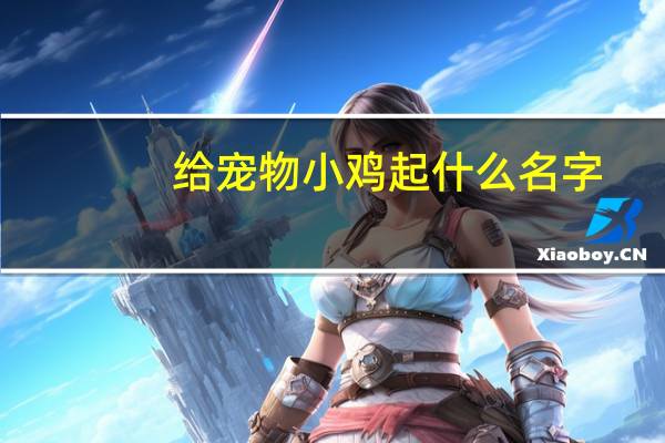 给宠物小鸡起什么名字