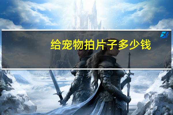 给宠物拍片子多少钱