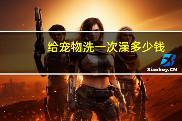 给宠物洗一次澡多少钱
