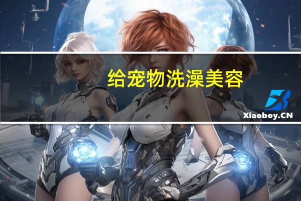 给宠物洗澡美容