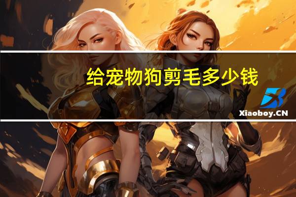 给宠物狗剪毛多少钱