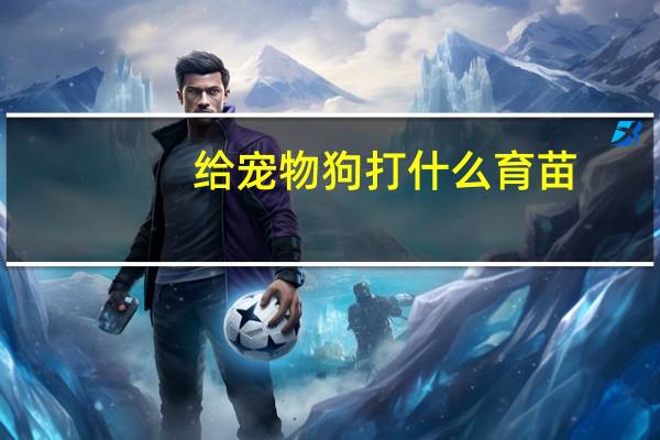 给宠物狗打什么育苗