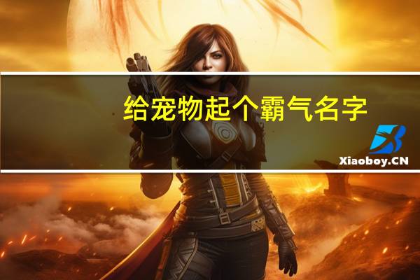 给宠物起个霸气名字