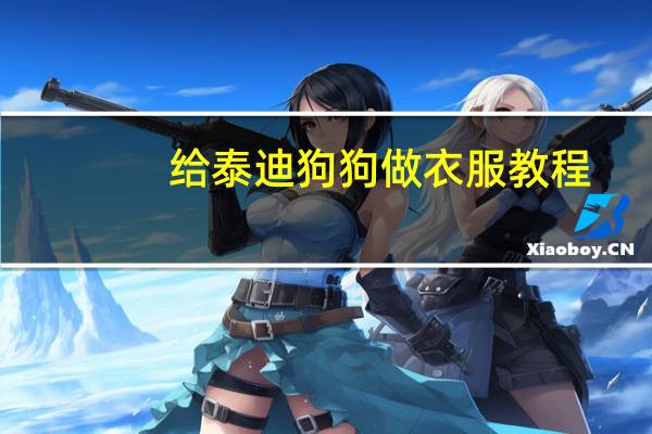 给泰迪狗狗做衣服教程