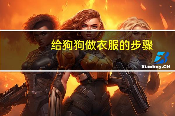 给狗狗做衣服的步骤