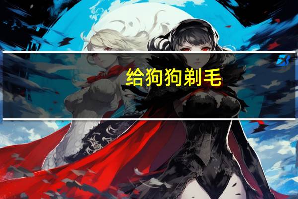 给狗狗剃毛