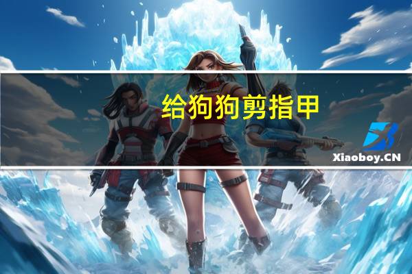 给狗狗剪指甲
