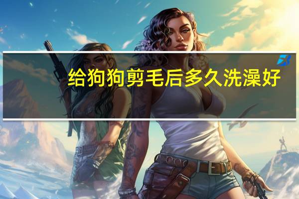 给狗狗剪毛后多久洗澡好