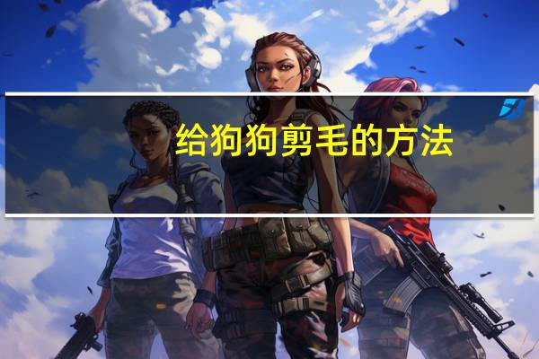 给狗狗剪毛的方法