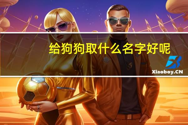 给狗狗取什么名字好呢