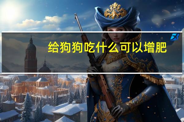 给狗狗吃什么可以增肥