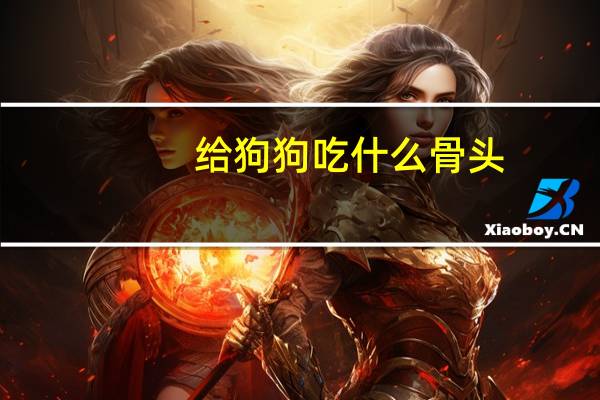 给狗狗吃什么骨头