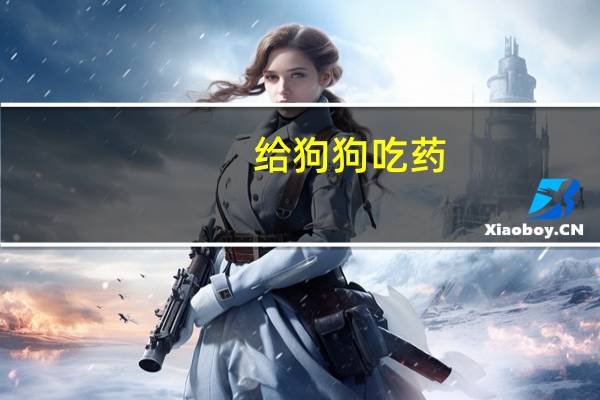 给狗狗吃药