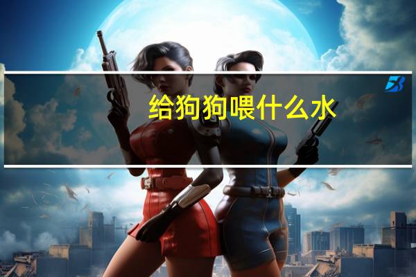 给狗狗喂什么水