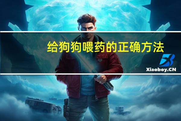 给狗狗喂药的正确方法