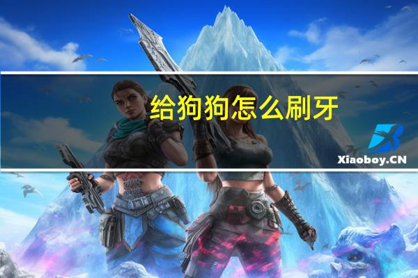 给狗狗怎么刷牙