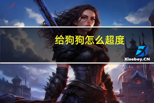 给狗狗怎么超度