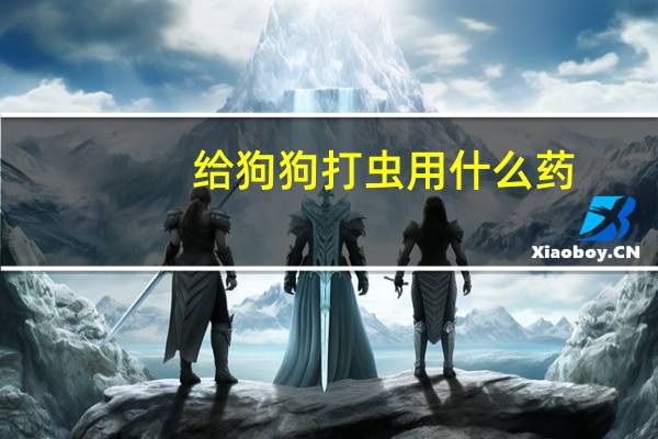 给狗狗打虫用什么药