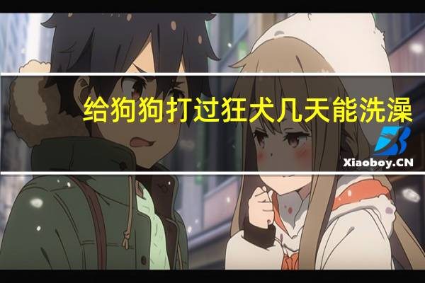 给狗狗打过狂犬几天能洗澡