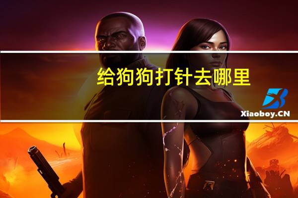 给狗狗打针去哪里
