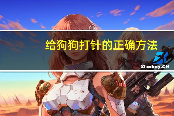 给狗狗打针的正确方法