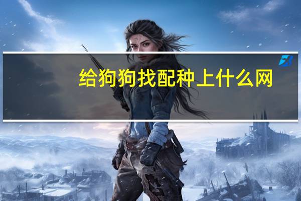 给狗狗找配种上什么网