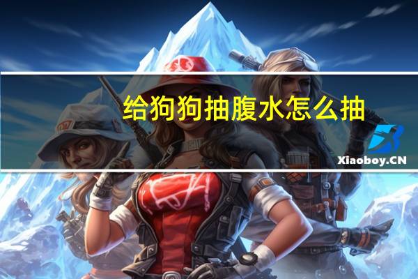 给狗狗抽腹水怎么抽