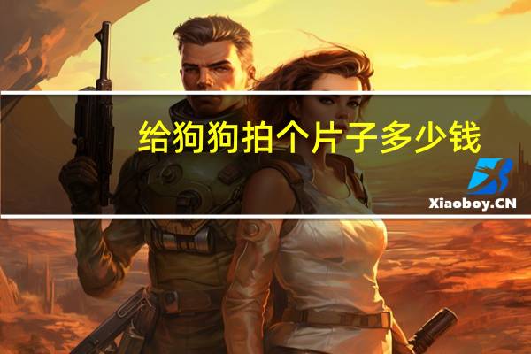 给狗狗拍个片子多少钱