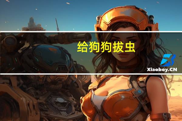 给狗狗拔虫