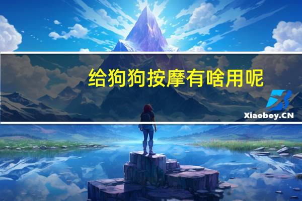 给狗狗按摩有啥用呢