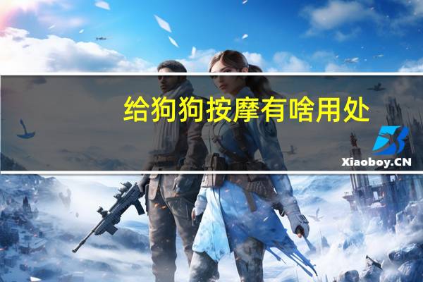 给狗狗按摩有啥用处