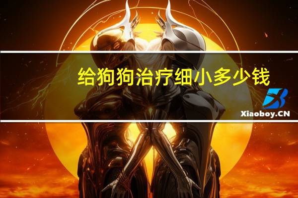 给狗狗治疗细小多少钱