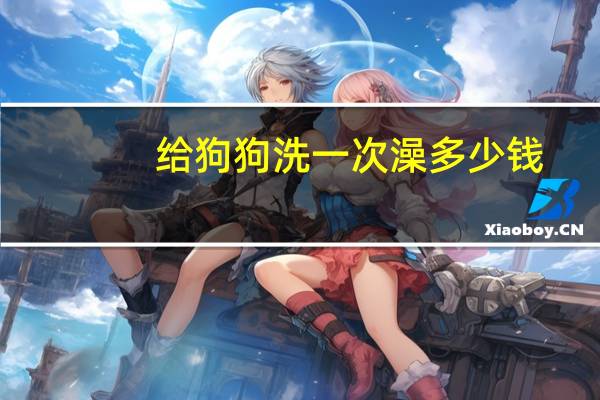 给狗狗洗一次澡多少钱