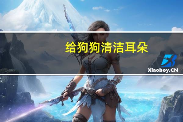 给狗狗清洁耳朵