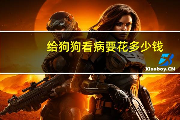 给狗狗看病要花多少钱