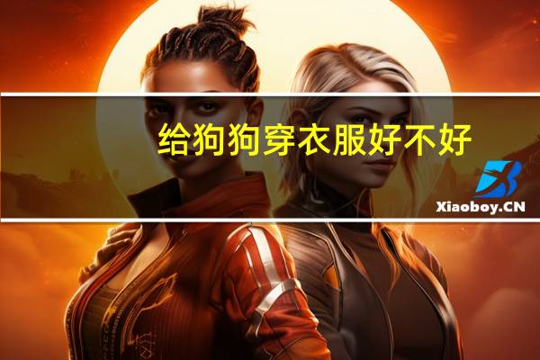 给狗狗穿衣服好不好