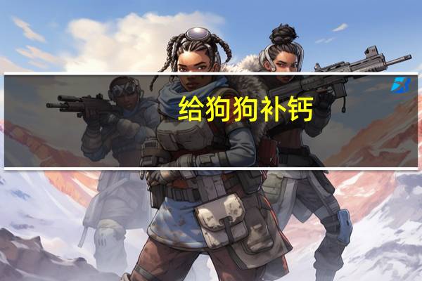 给狗狗补钙