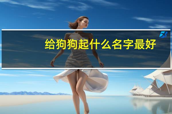 给狗狗起什么名字最好