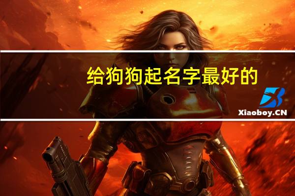 给狗狗起名字最好的