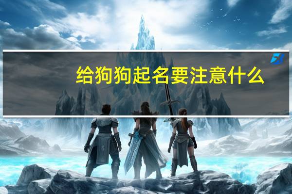 给狗狗起名要注意什么