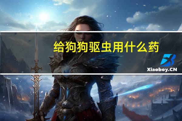 给狗狗驱虫用什么药