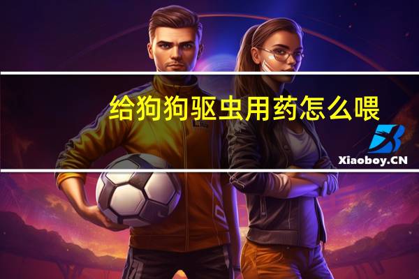 给狗狗驱虫用药怎么喂
