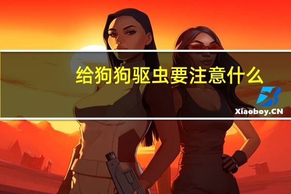 给狗狗驱虫要注意什么