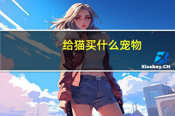 给猫买什么宠物